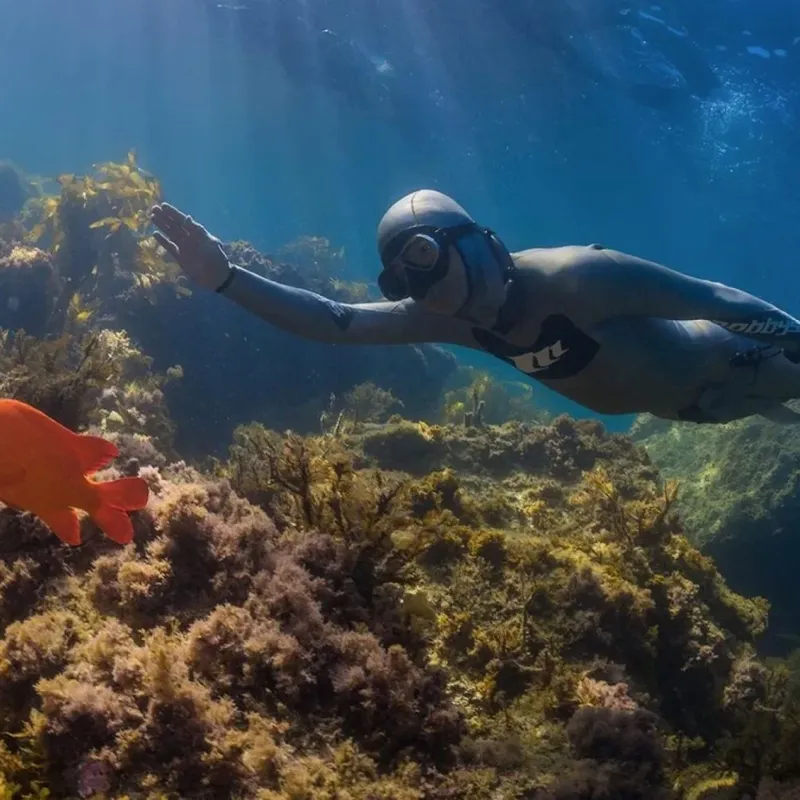 Apnea : plongeur nageant près d'un récif corallien et d'un poisson rouge
