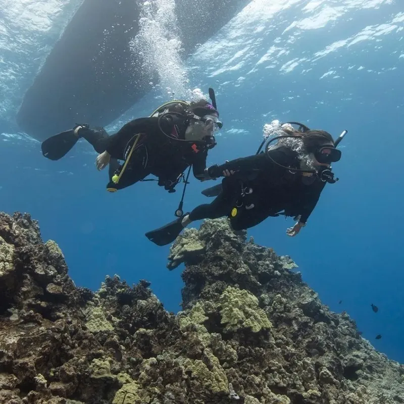 Deux plongeurs explorent un récifal corallien en eau bleue claire