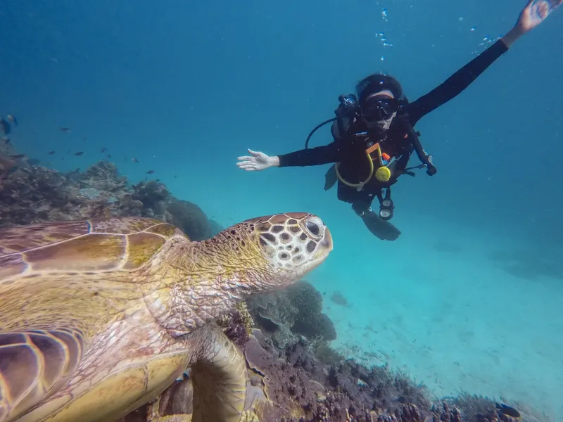 Plongeuse nageant avec une tortue marine dans un récif corallien