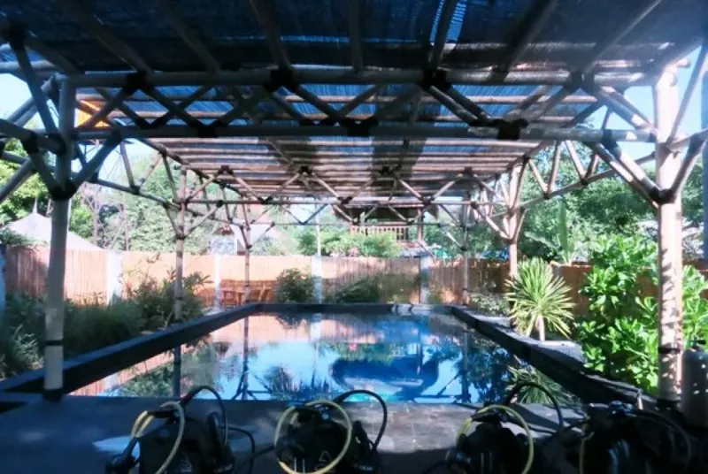 Piscine de formation avec équipement de plongée au premier plan végétation luxuriante