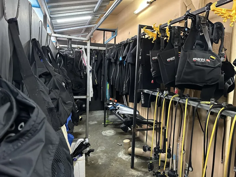 Rangées de combinaisons et gilets de plongée suspendus dans un local