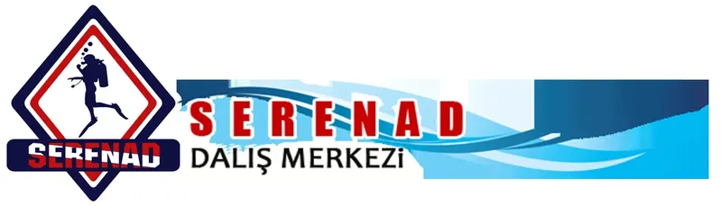 Un plongeur en silhouette saute dans l'eau, logo bleu et blanc