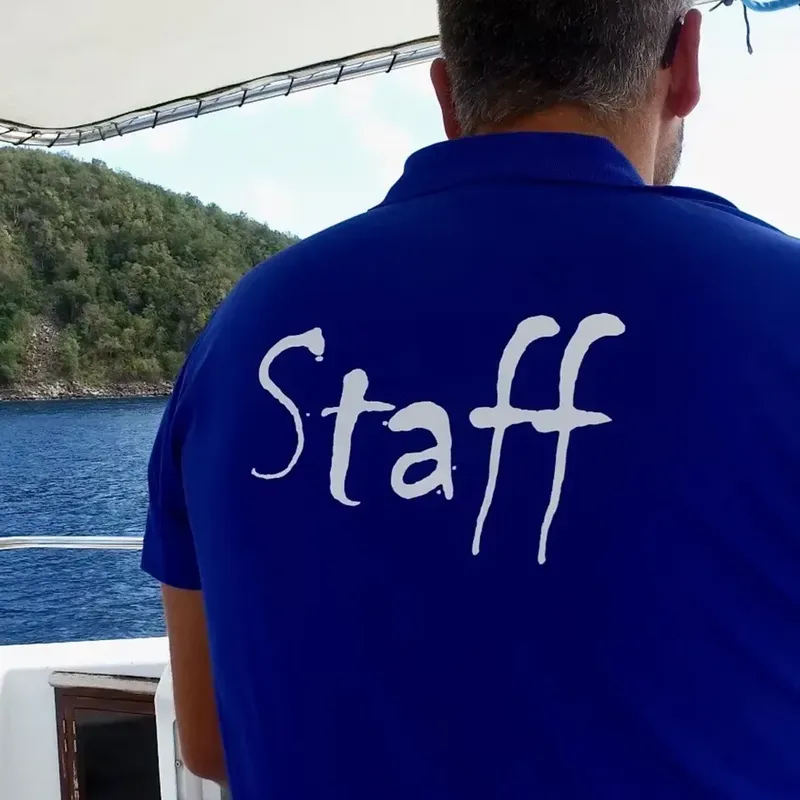 Homme portant un polo bleu avec l'inscription 'Staff' sur le dos