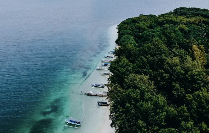 Vue aérienne de bateaux amarrés le long d'une côte tropicale