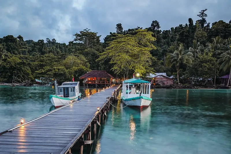 Deux bateaux amarrés à un ponton en bois, végétation tropicale