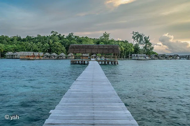 Ponton en bois menant à des bungalows sur pilotis au bord de l'eau