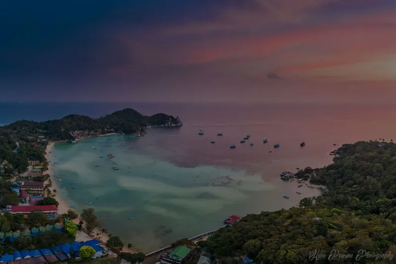 Vue aérienne d'une plage avec des bateaux et végétation luxuriante