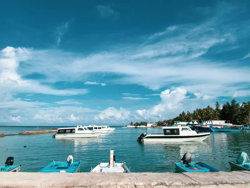 Plusieurs bateaux de plaisance amarrés dans une baie ensoleillée