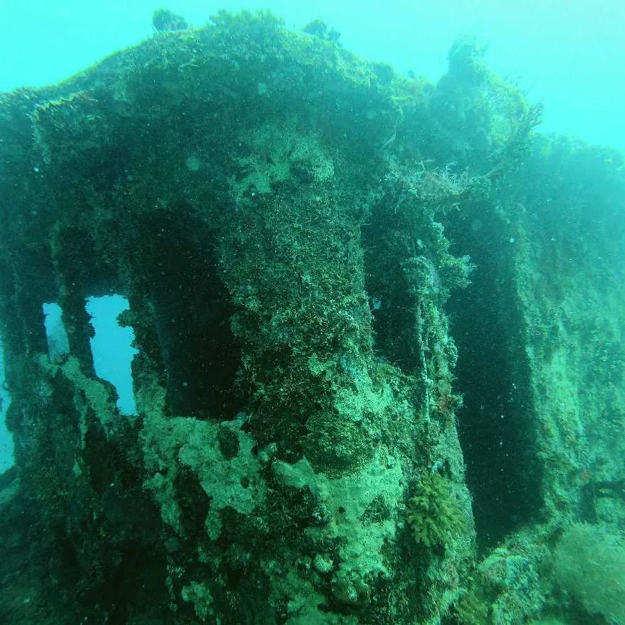 Epave recouverte d'algues et de coraux sous l'eau turquoise