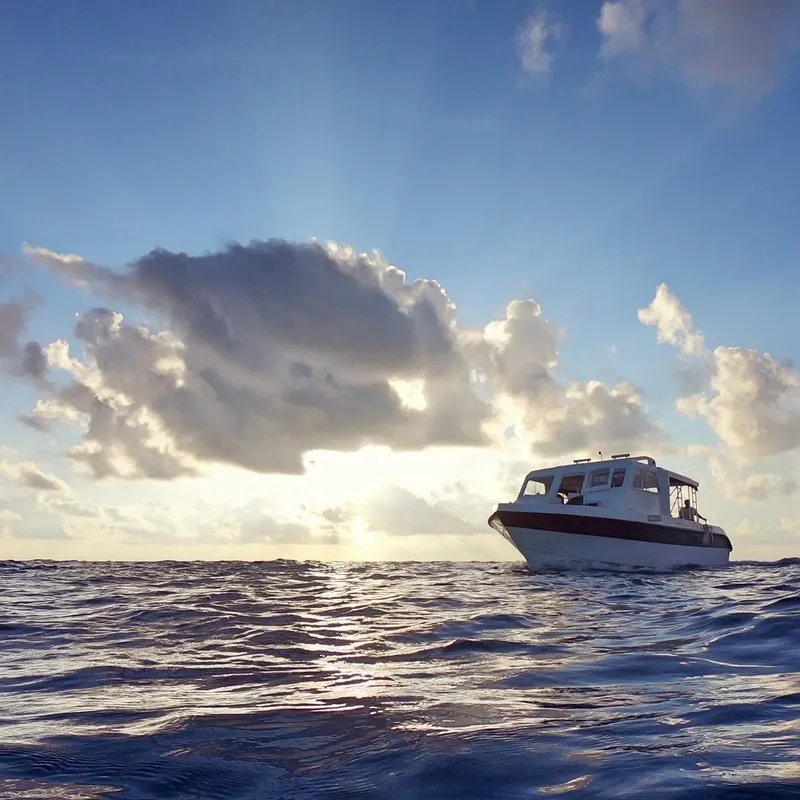 Bateau de plongée blanc et rouge naviguant sur une mer agitée