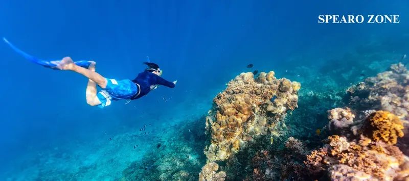 Un plongeur en apnée explore un récifal corallien bleu et coloré