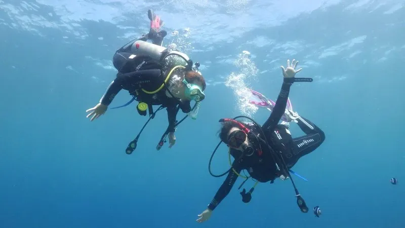 Deux plongeurs s'amusent et flottent dans l'eau bleue claire
