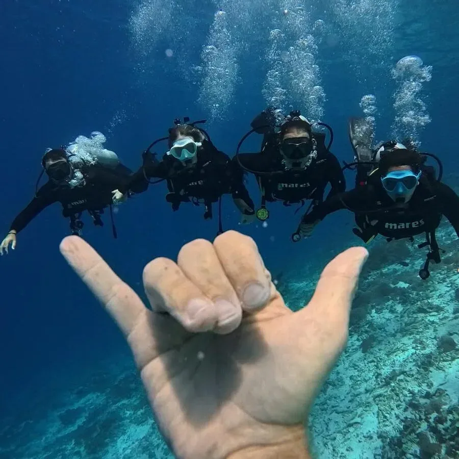 Plongeurs en combinaison noire font le signe 'shaka' sous l'eau
