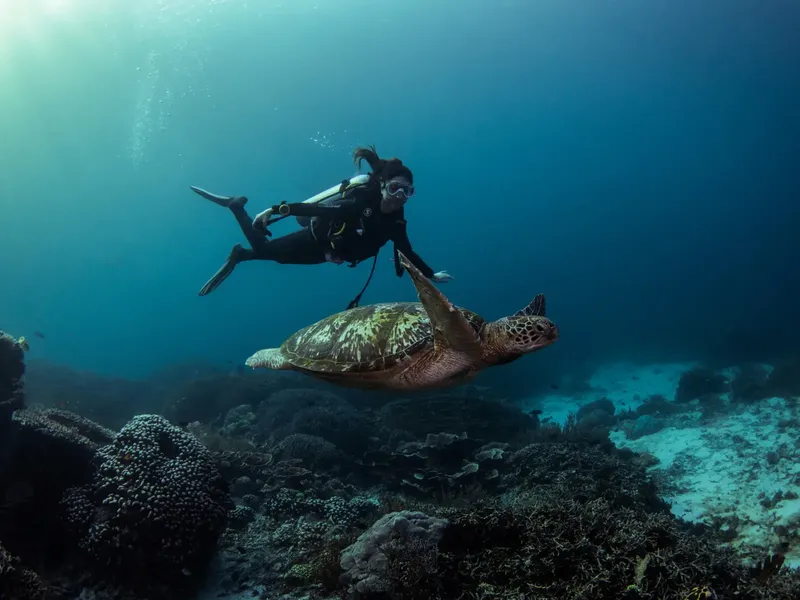 Plongeuse nageant avec une tortue marine au-dessus d'un récifal corallien