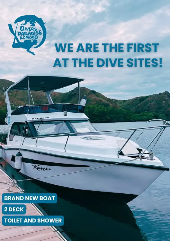 Bateau de plongée blanc amarré à un ponton avec texte promotionnel