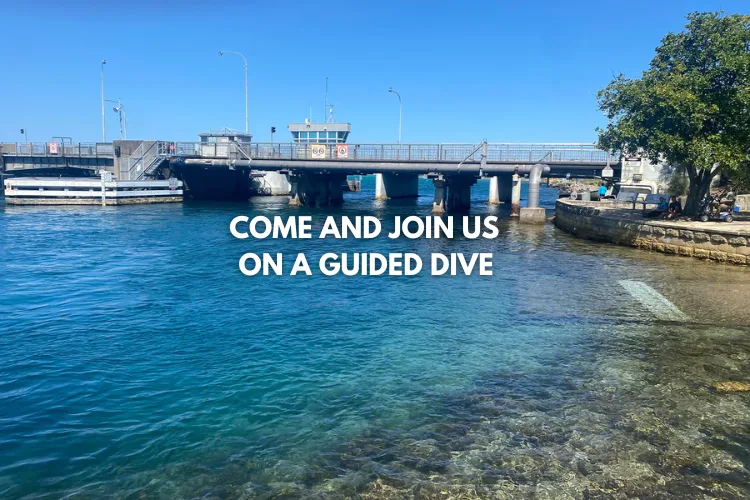 Vue sur un canal avec un bateau et un pont texte promotionnel