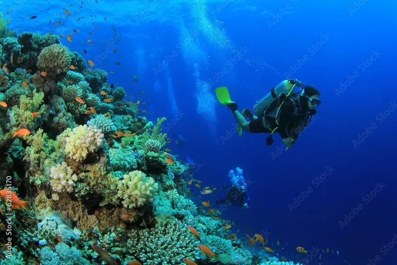 Plongeur explore un récif corallien bleu et vibrant avec des poissons
