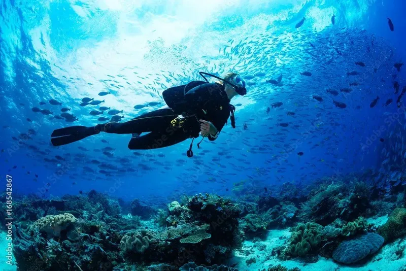 Plongeur en scaphandre explore un récifal corallien bleu et lumineux
