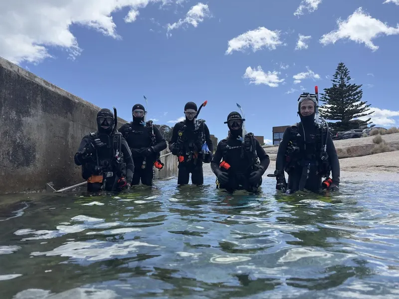 Groupe de plongeurs en combinaison sortant de l'eau, souriants