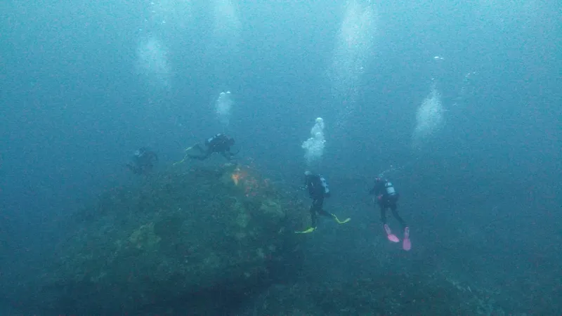 Plongeurs explorent un récif sous-marin avec des bulles d'air