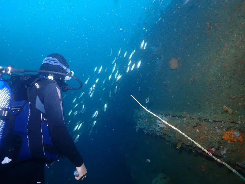 Plongeur explorant un épave avec un banc de petits poissons argentés