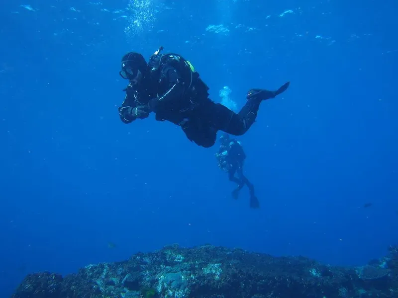 Deux plongeurs en combinaison explorent les fonds marins bleus et clairs