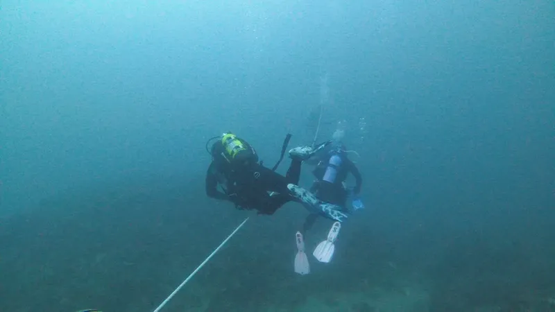 Deux plongeurs évoluent dans une eau bleutée, visibilité limitée