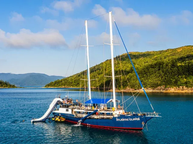 Grand voilier amarré dans une baie verdoyante avec des plongeurs