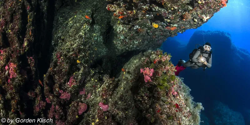 Plongeur explorant un récif corallien coloré en profondeur