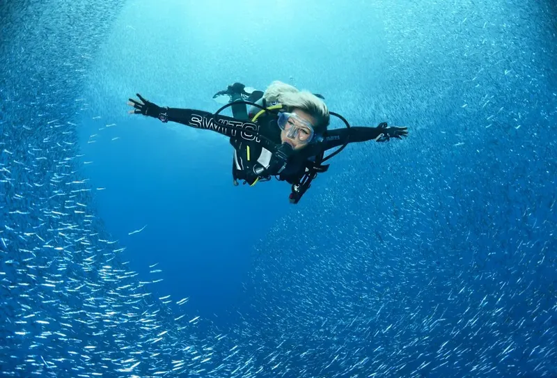 Plongeuse en pleine eau entourée d'un banc de petits poissons argentés