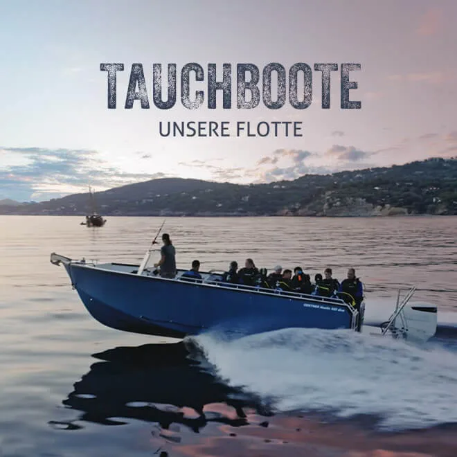 Bateau de plongée bleu avec des plongeurs à bord sur l'eau calme