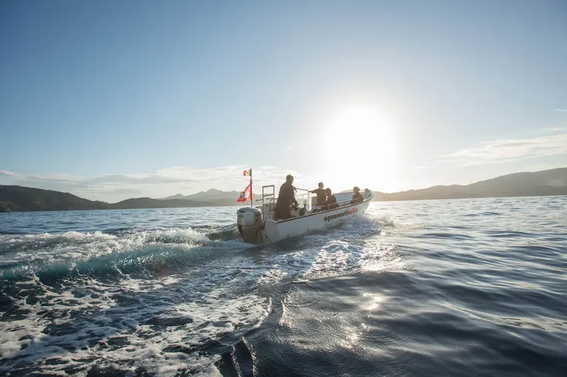 Un bateau de plongée navigue sur une mer calme ensoleillée avec des passagers