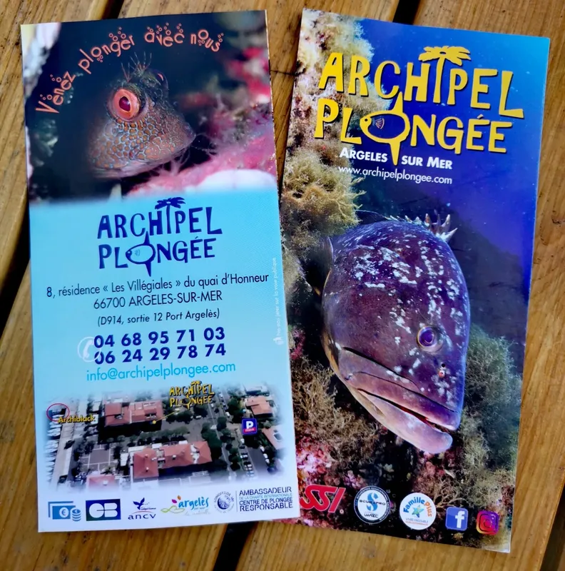 Affiche publicitaire pour un centre de plongée avec une anémone et un poisson
