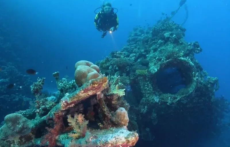 Plongeur explorant une épave colonisée par des coraux et des poissons
