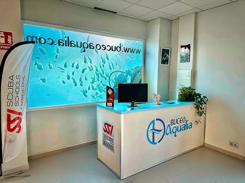 Comptoir d'accueil d'un centre de plongée avec un grand visuel marin