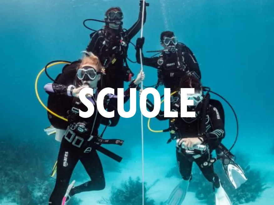 Deux plongeurs en combinaison explorent les fonds marins bleus turquoise
