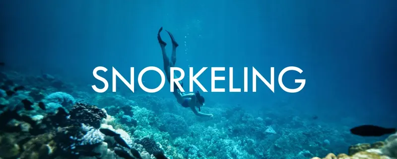 Une personne fait du snorkeling au-dessus d'un récifal corallien bleu