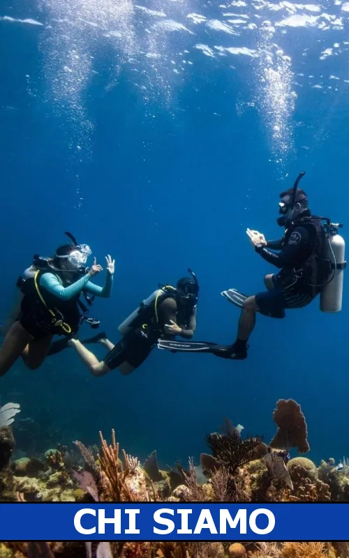 Trois plongeurs communiquent sous l'eau au-dessus d'un récif corallien