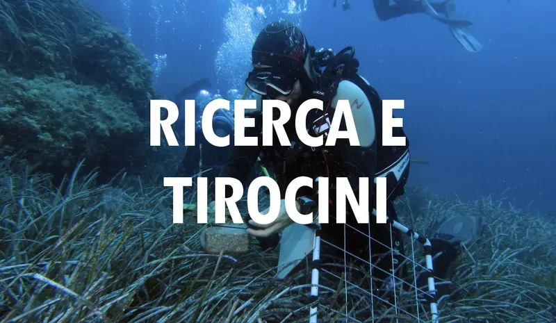 Deux plongeurs sous l'eau avec du texte superposé en italien