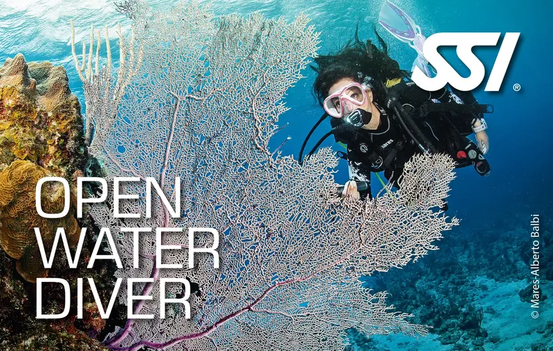 Plongeuse explorant un récif corallien bleu, formation Open Water Diver