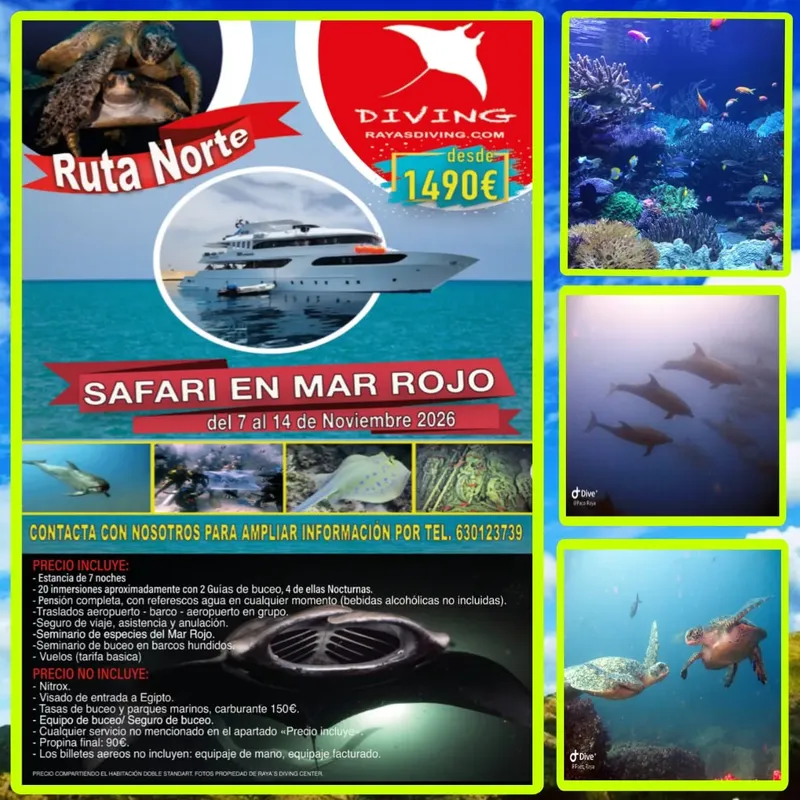 Affiche publicitaire pour un safari de plongée en mer Rouge avec poissons