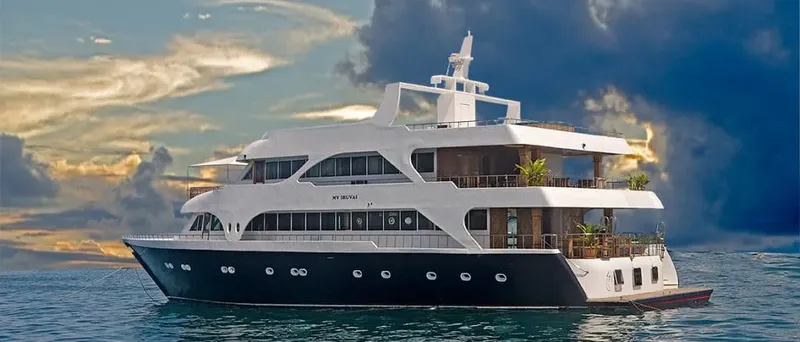 Grand bateau de croisière blanc et noir sur une mer calme