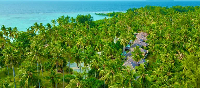 Vue aérienne d'un complexe hôtelier tropical avec végétation luxuriante et mer