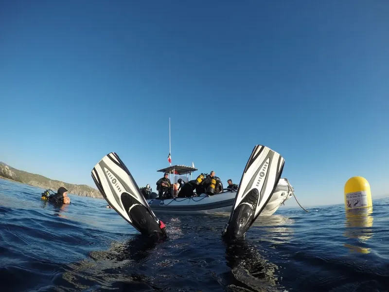 Plongée en mer : un groupe de plongeurs près d'un bateau semi-rigide