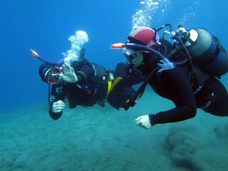 Deux plongeurs communiquent sous l'eau dans un environnement marin bleu