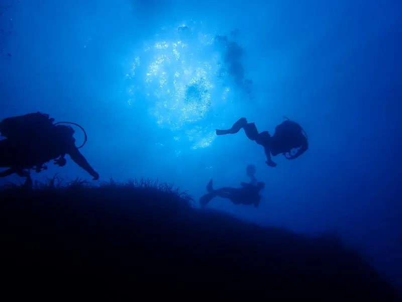 Plongeurs en silhouette sous la surface, remontant vers la lumière