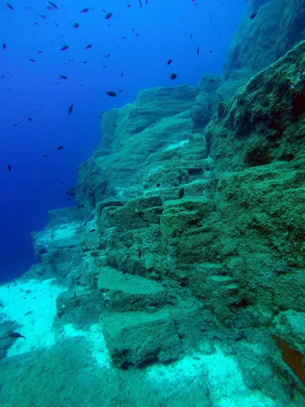 Vue sous-marine d'une paroi rocheuse avec des bancs de petits poissons bleus