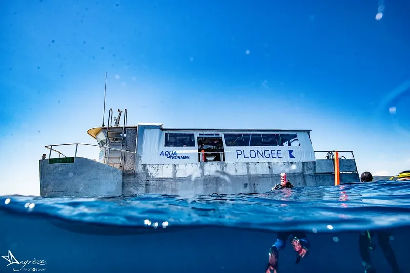 Plongeurs s'apprêtent à entrer dans l'eau depuis un bateau de plongée