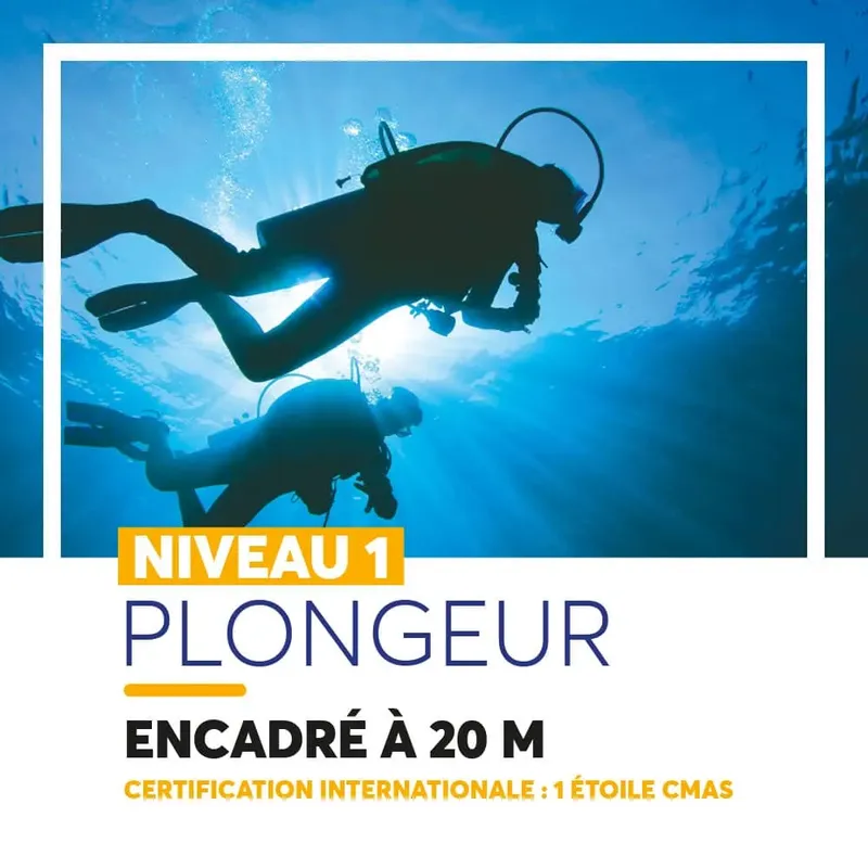 Deux plongeurs explorent un monde bleu, formation niveau 1 encadrée