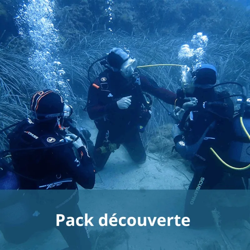 Trois plongeurs en combinaison explorent un fond marin bleu turquoise